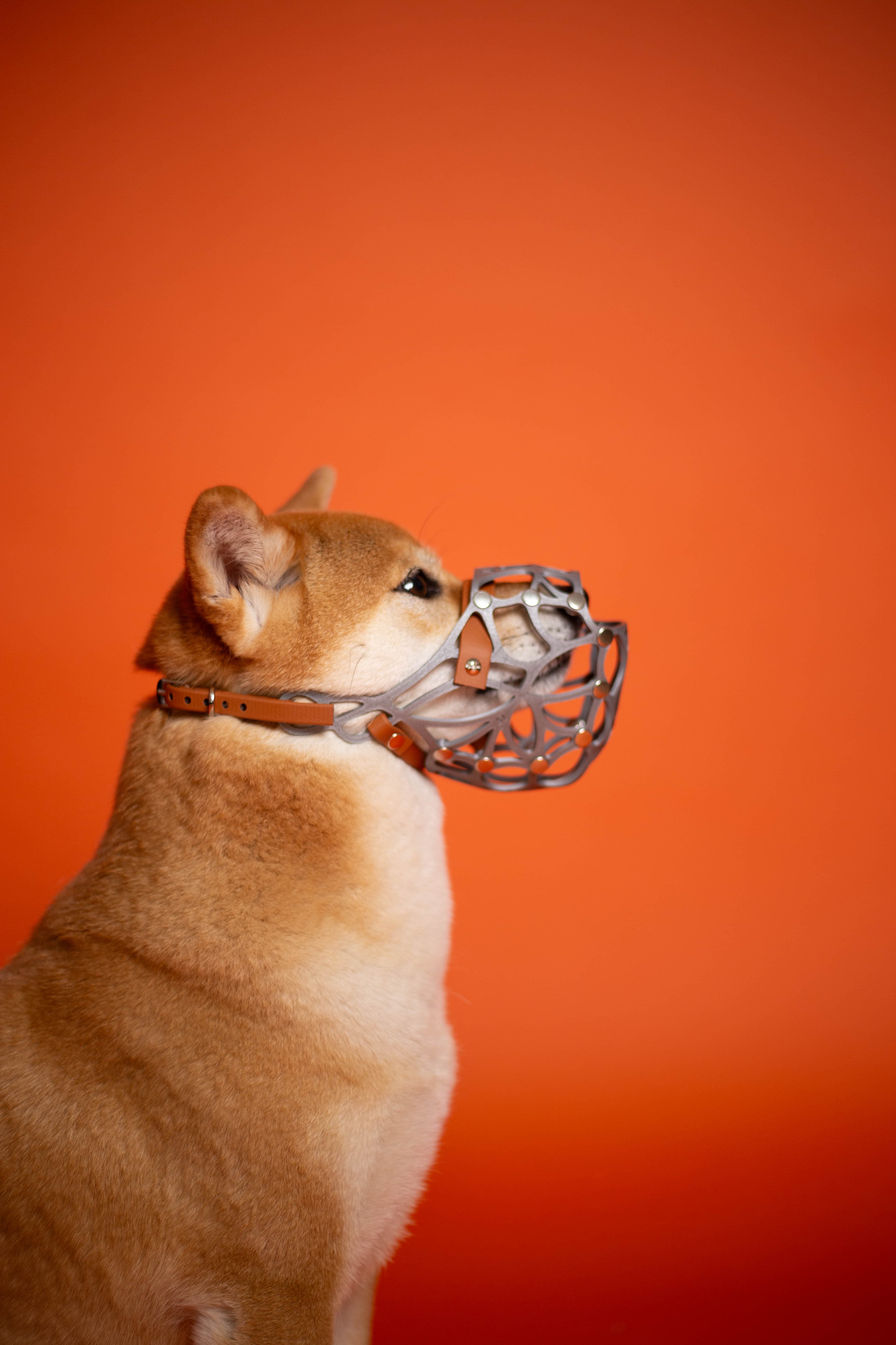 Намордник DeKus